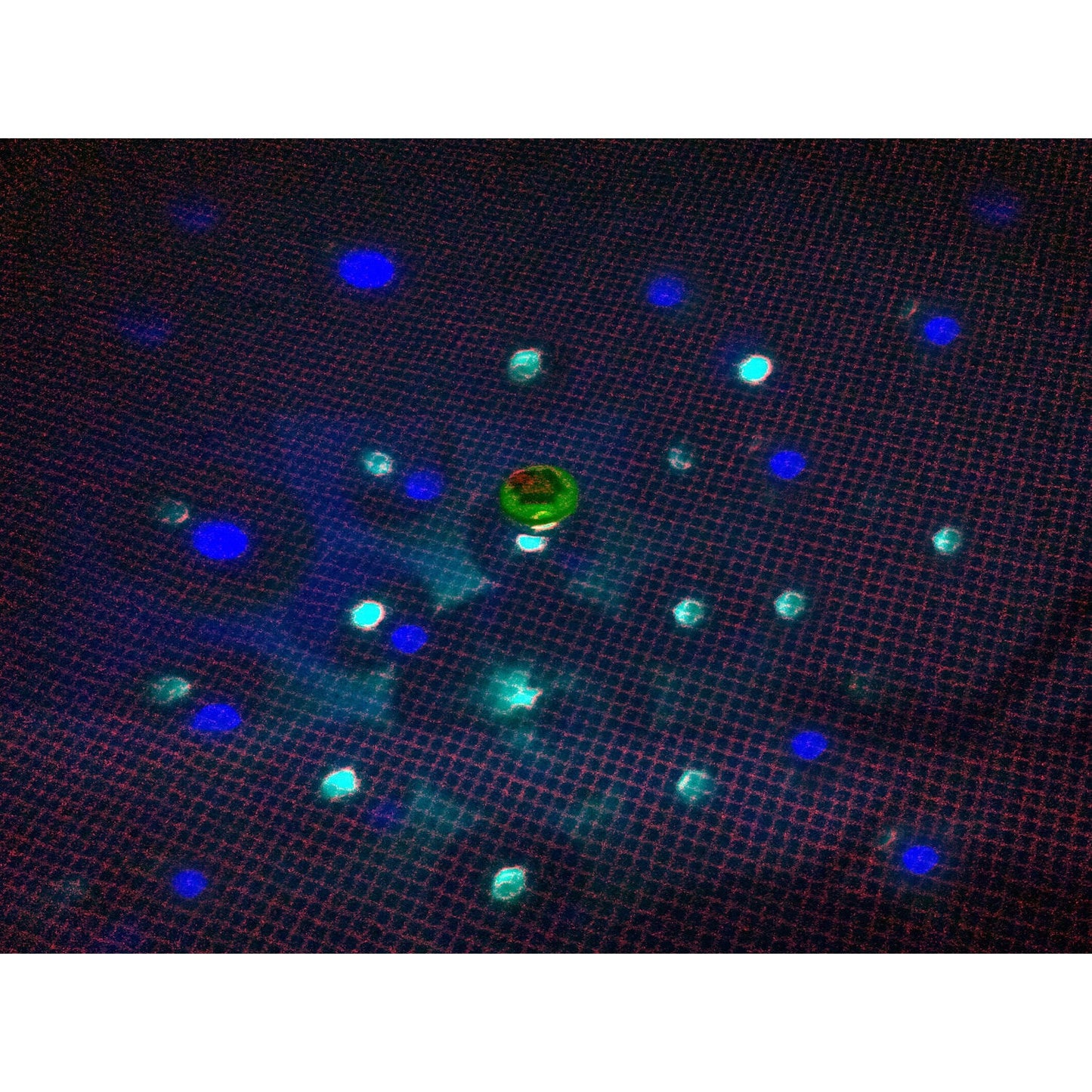 Floating Pool Disco LED