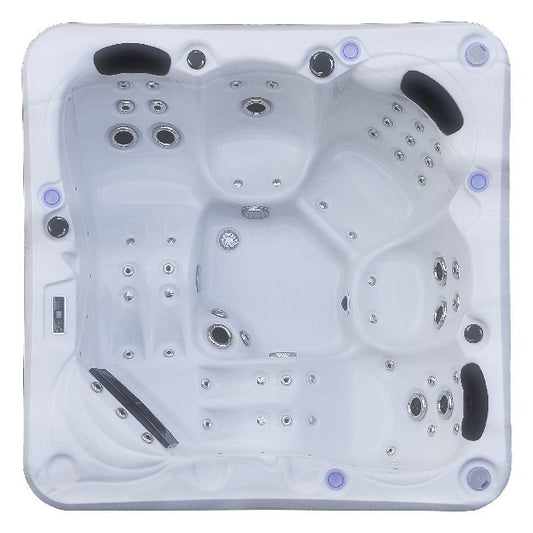 5 Person hot tub (2 Lougers)